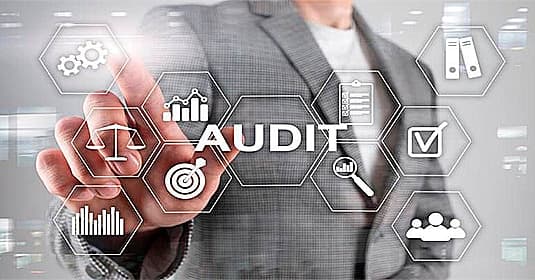 Milli Audit cover