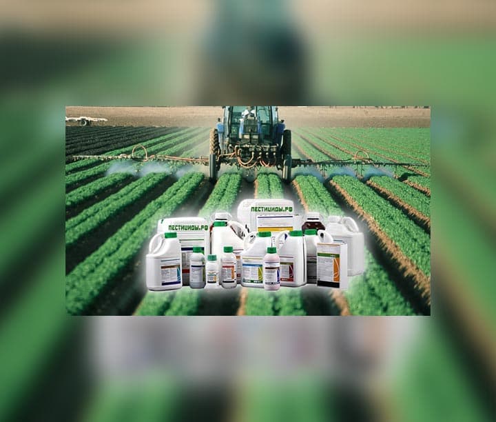 mör-möjeklere garşy derman serişdeleri