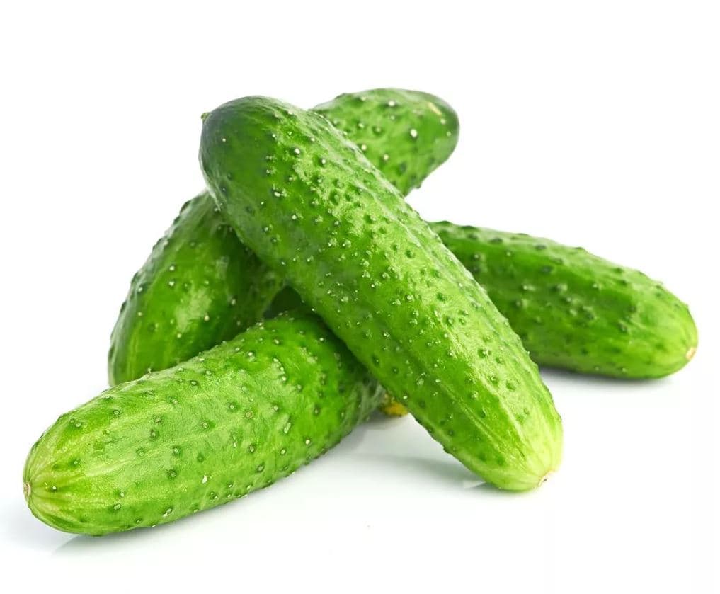 hyýar