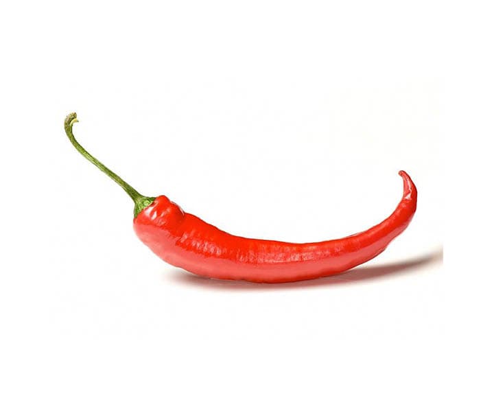 çili burçy