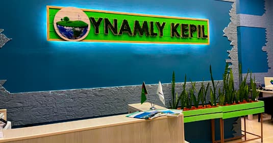 Ynamly Kepil cover