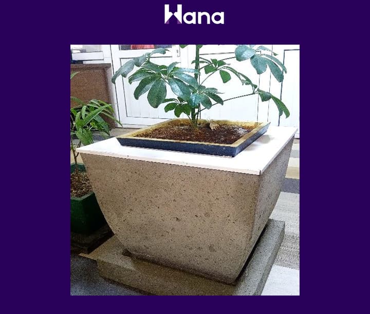 BETON GUL GORSOK 45*42*30 (AYLOW KONUS KICI) — product photo