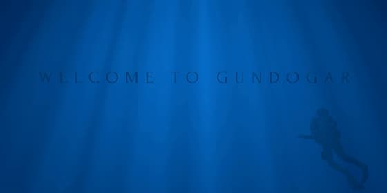 Gündogar cover