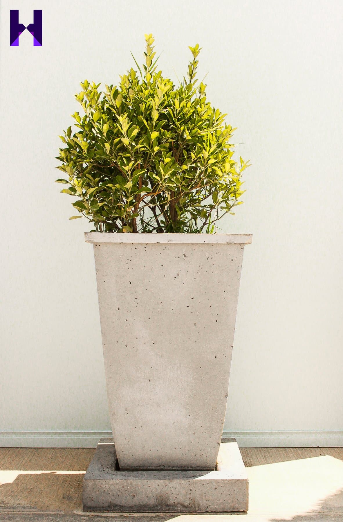 Concrete planters — product photo