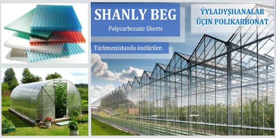 Şanly BEG cover