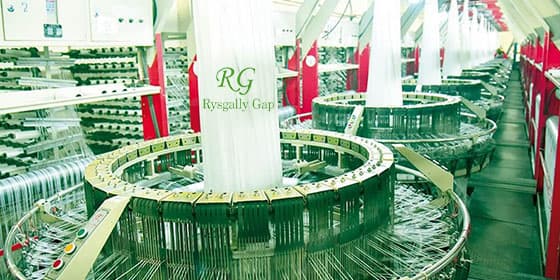 Rysgally GAP cover