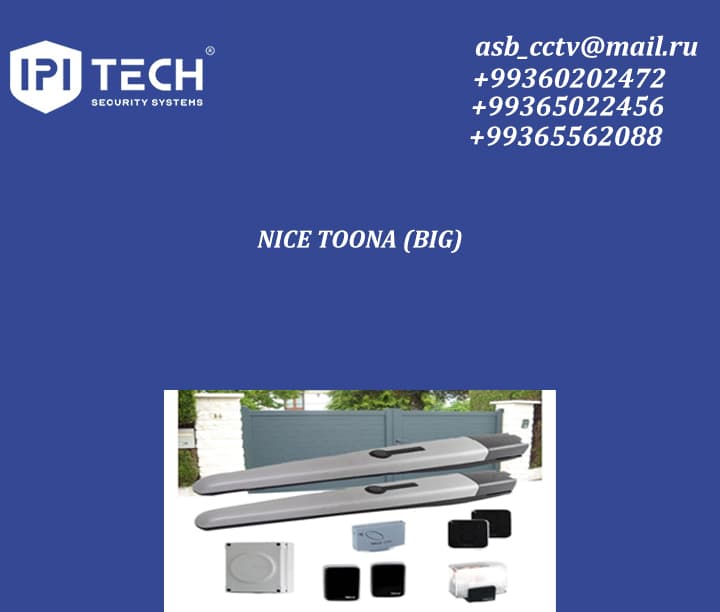 NICE TOONA (BIG) — product photo