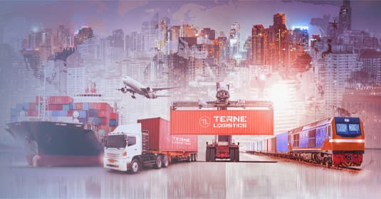 Terne Logistics cover