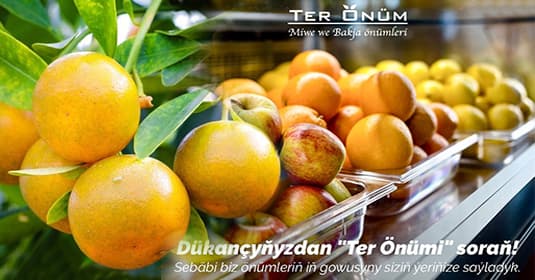 Ter Önüm cover