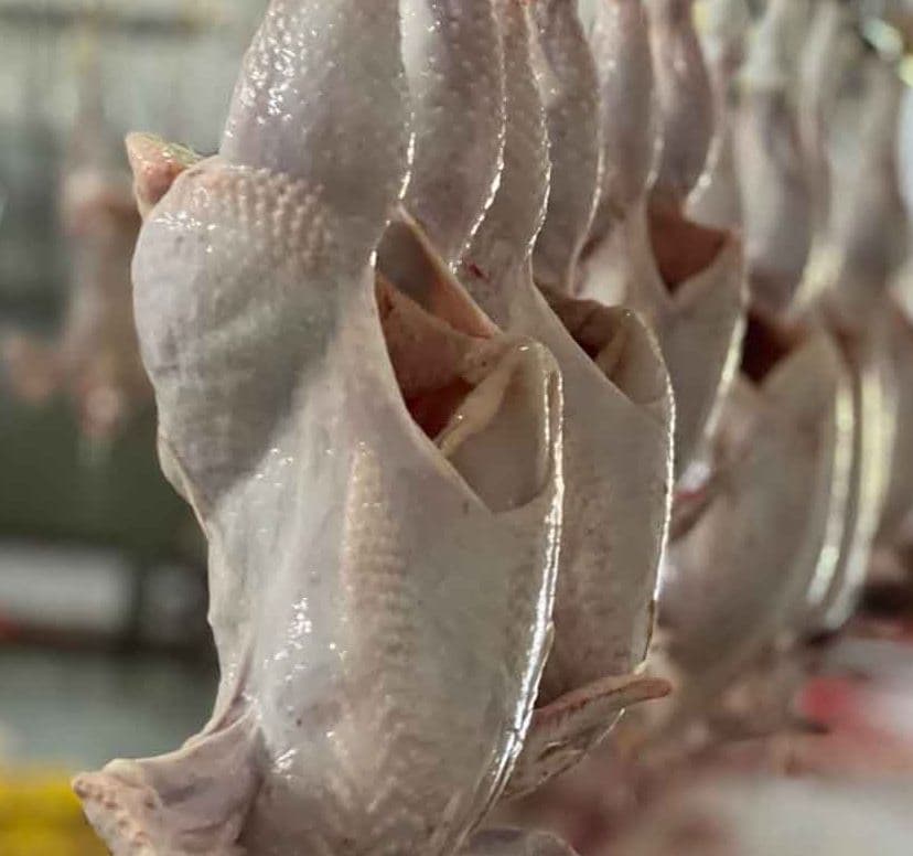 chicken meat (without giblets, frozen) — product photo