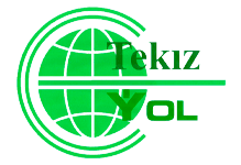 Tekiz Yol logo