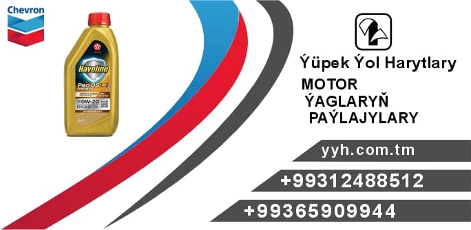 TX Hav Pro DS FV 0W-20 — product by Ýüpek Ýol Harytlary