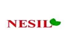 Nesil logo