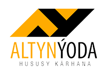 Алтын Йода logo