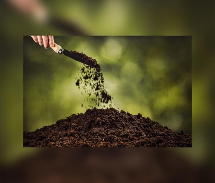 грунт — product by Гюл Джахан