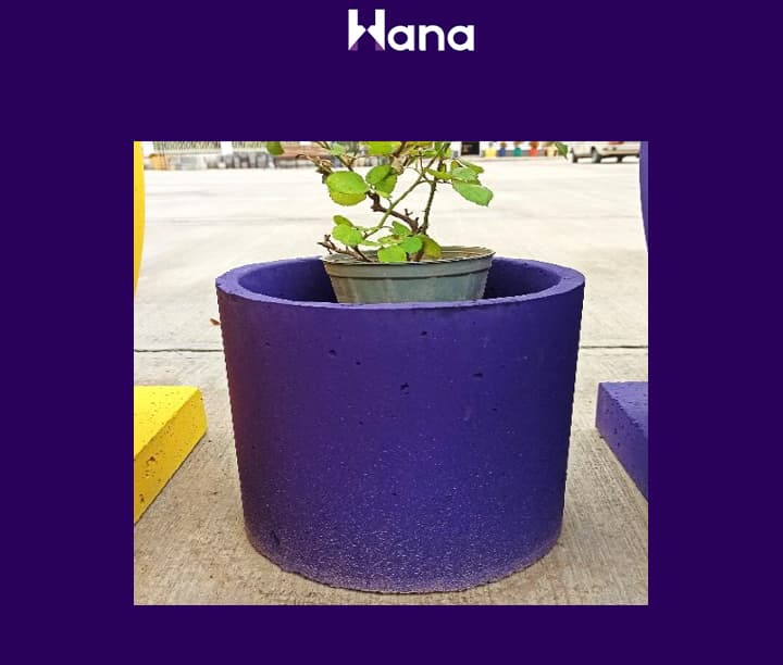 BETON GUL GORSOK KICISI (TEGELEK) 30*30 — Hana ürünü