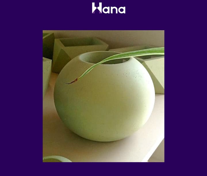 BETON GIPS GUL GORSOK — Hana ürünü