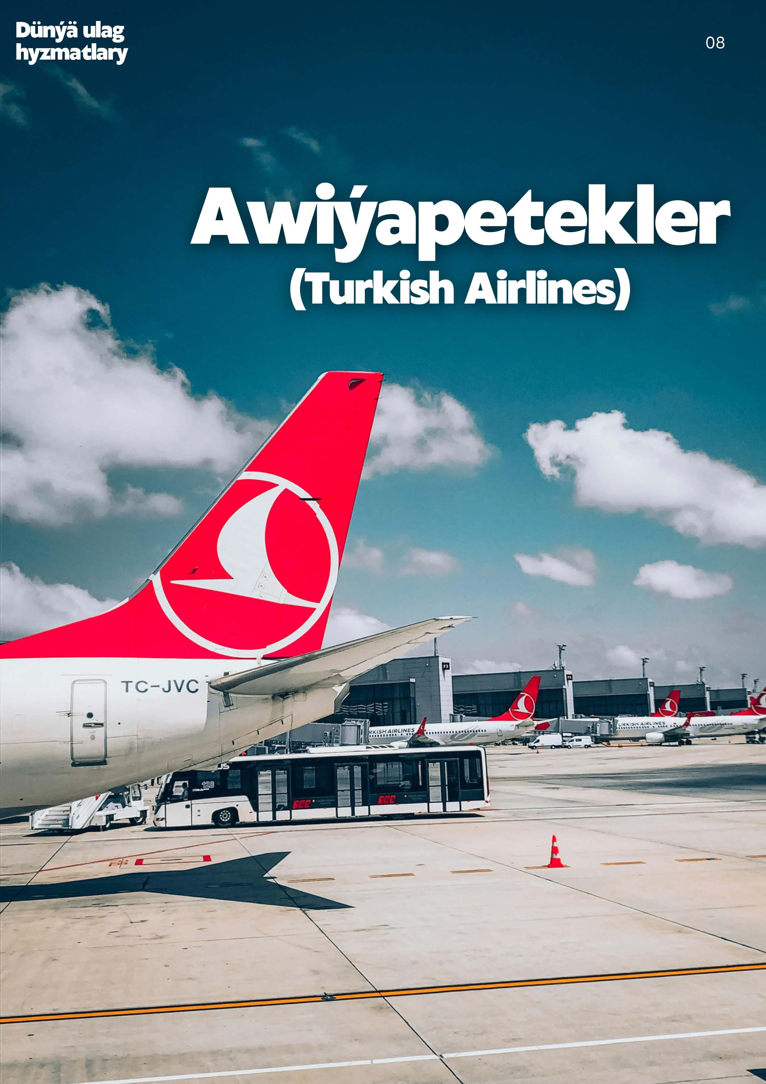 Awiapetekler — Döwletlı Çynar Syýahat ürünü