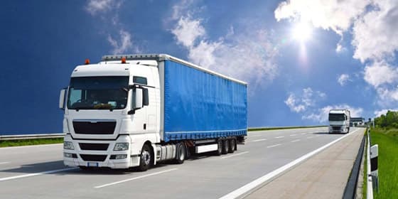 Dünya Yolu — firma kapak görseli