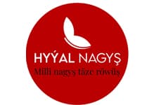 Hiyal Nagysh logo