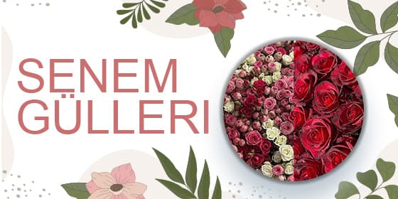 Senem Gülleri — company cover photo