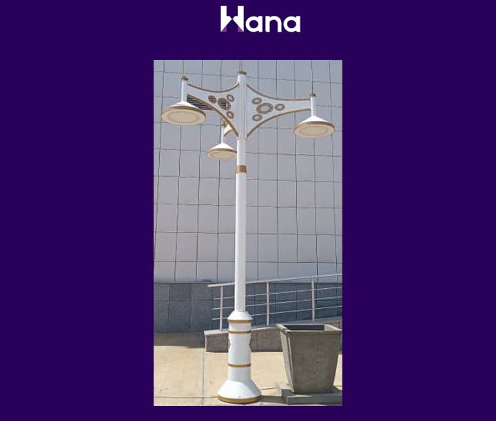 TORSER 3 ŞAHALY (SPOT LAZER) — Hana ürünü