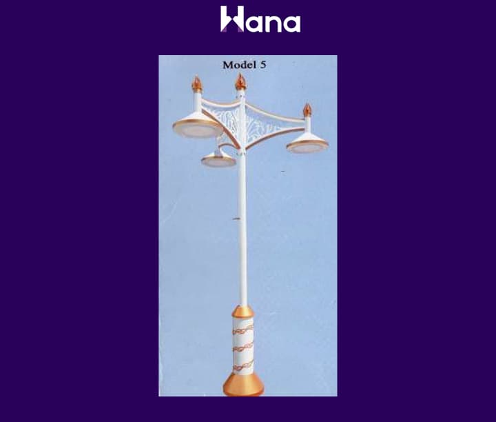 TORSER 3 ŞAHALY ( SPOT NAGYS ) — Hana önümi