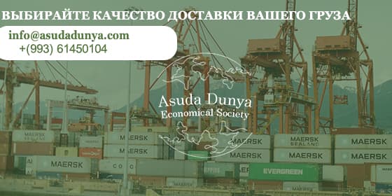 Asuda Dunya — firma kapak görseli