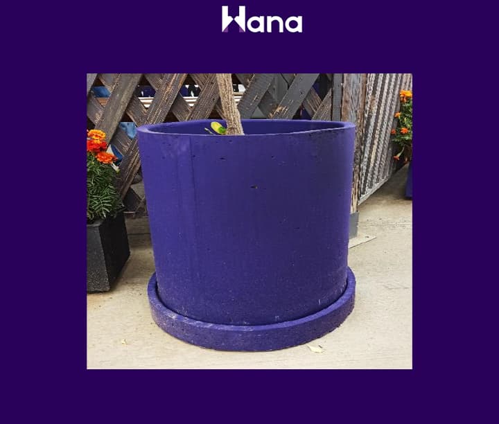 BETON GUL GORSOK KICISI (TEGELEK) 40*40 — Hana ürünü