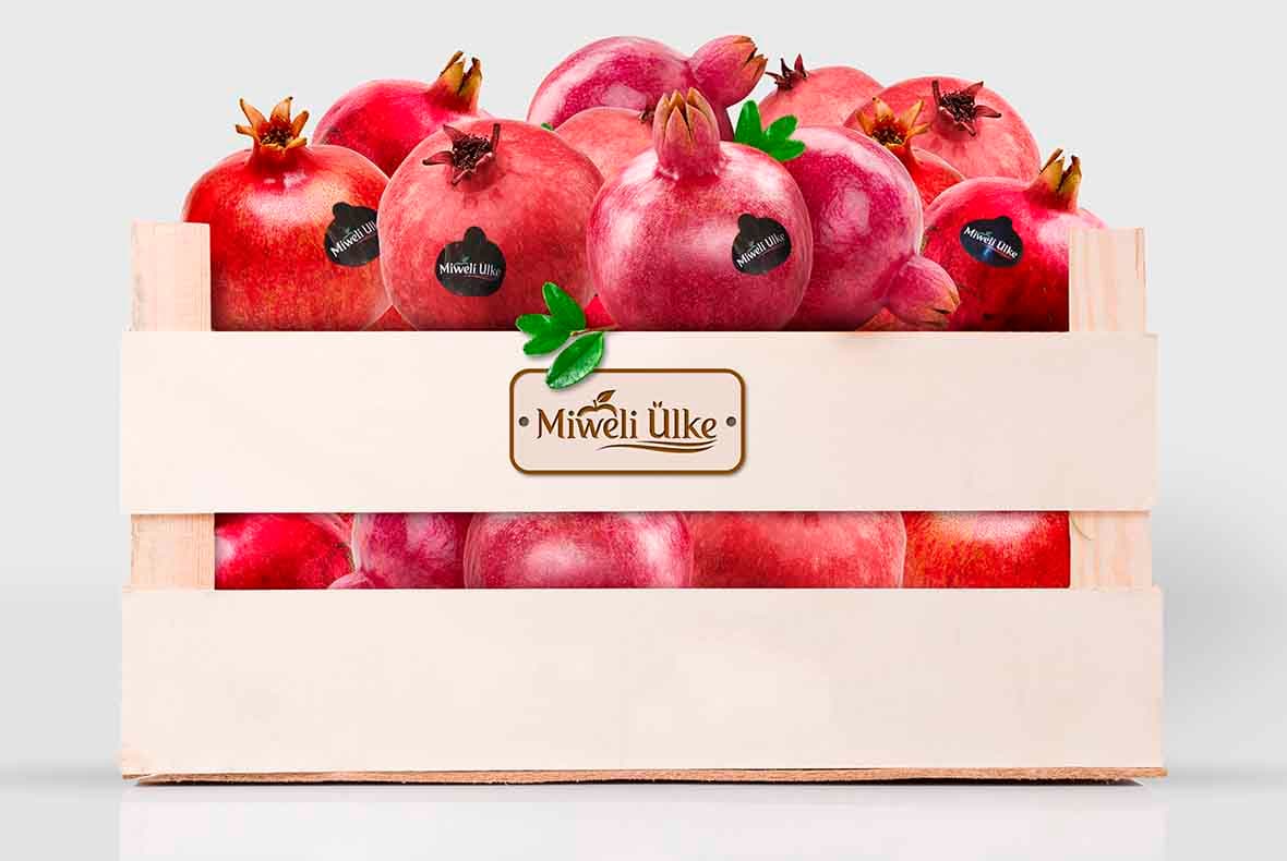 pomegranate — product photo
