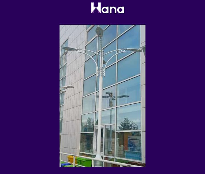 TORSER 4 ŞAHALY ( PALMA ) — Hana ürünü