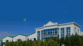 Turkmen Shohle — company cover photo