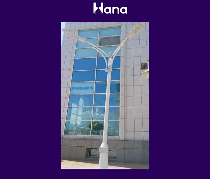 TORSER 2 ŞAHALY ( PALMA ) — Hana önümi