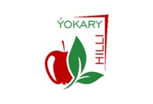 Muhammetgulyýew Kerim logotipi