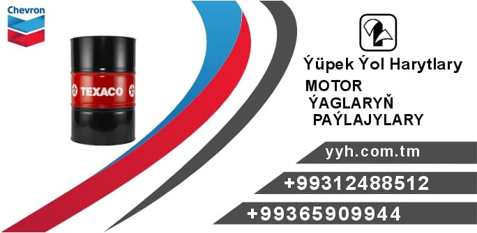 TX Hav Pro DS M 5W-30 — Ýüpek Ýol Harytlary ürünü