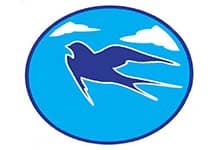 Gok Howuz logo