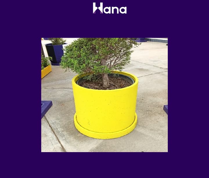 BETON GUL GORSOK (TEGELEK) 66*60*66 — Hana ürünü