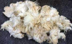 lamb wool — product photo