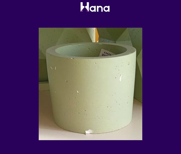 BETON GIPS GUL GORSOK — Hana ürünü