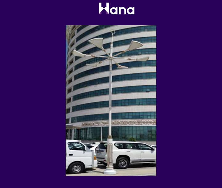 TORSER 6 ŞAHALY ( SPOT KONUS ) — Hana ürünü