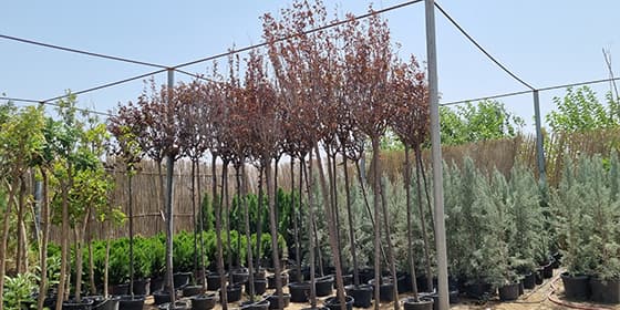 Dort-el — company cover photo