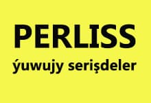 "Perliss" Ýuwujy Serişdeleri logotipi