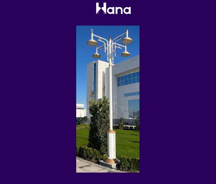 TORSER 4 ŞAHALY — Hana önümi