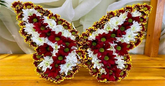 Gul Jahan — company cover photo