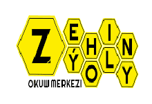 Zehin Yoly logo