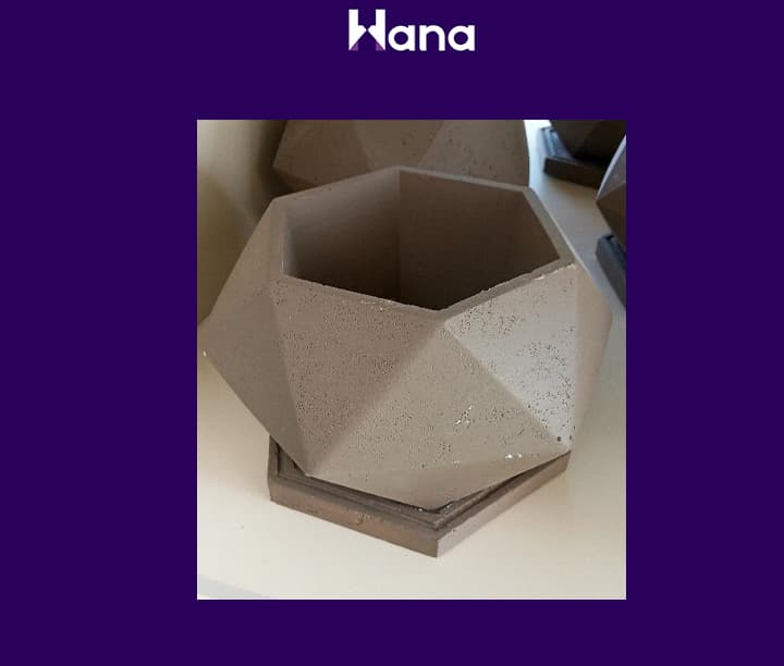 BETON GIPS GUL GORSOK — Hana ürünü