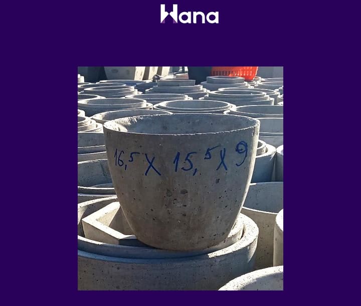 BETON GUL GORSOK 16.5*15.5*9 (TEGELEK YARYM YUMURTGA HAS KICI) — product by Hana