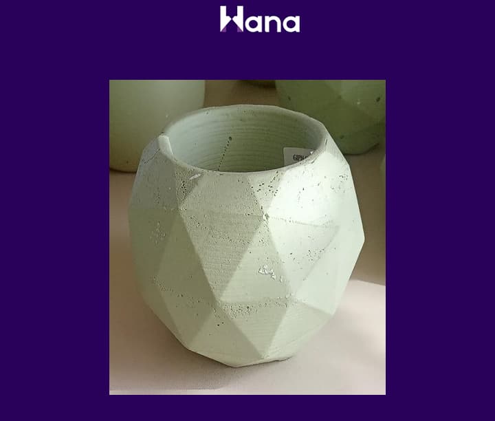 BETON GIPS GUL GORSOK — Hana ürünü