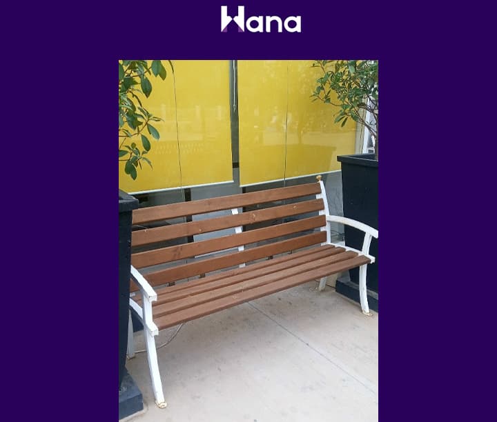 SKAMEÝKA (ÝAÝ 2) — Hana ürünü