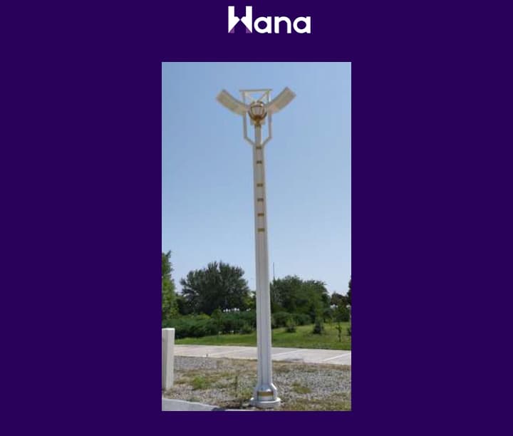 TORSER 3 ŞAHALY ( SPOT GANAT ) — Hana ürünü